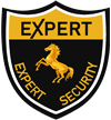 Expert Security