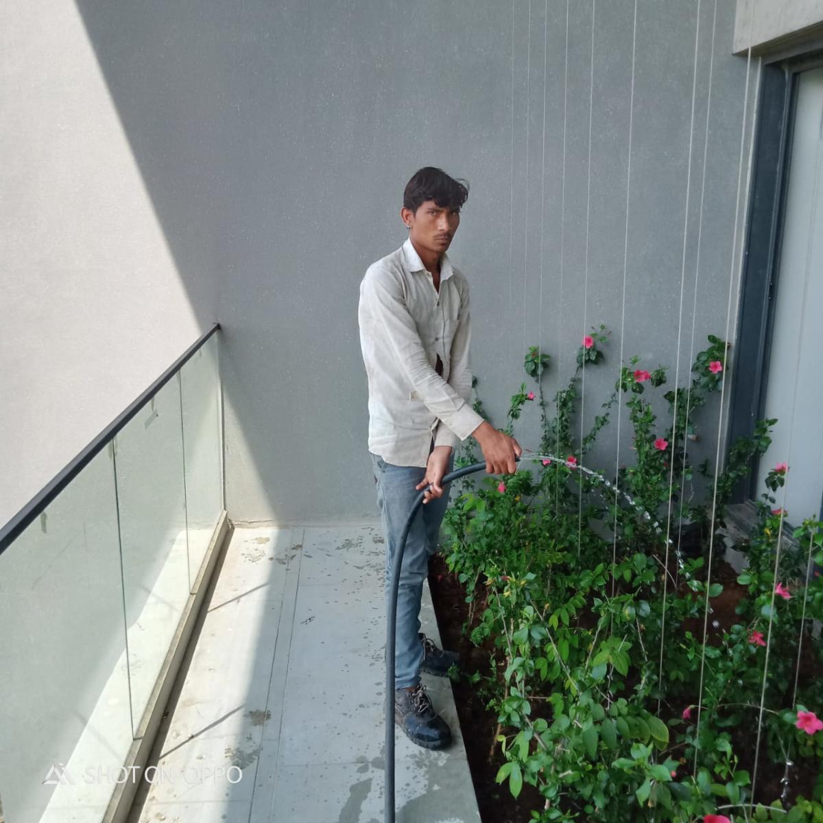 Image Gallery Expert Security